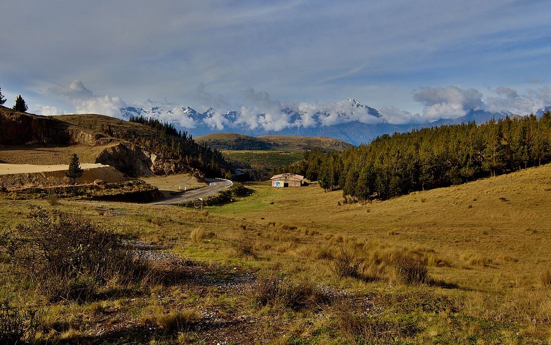 cesta Puquio- Cuzco