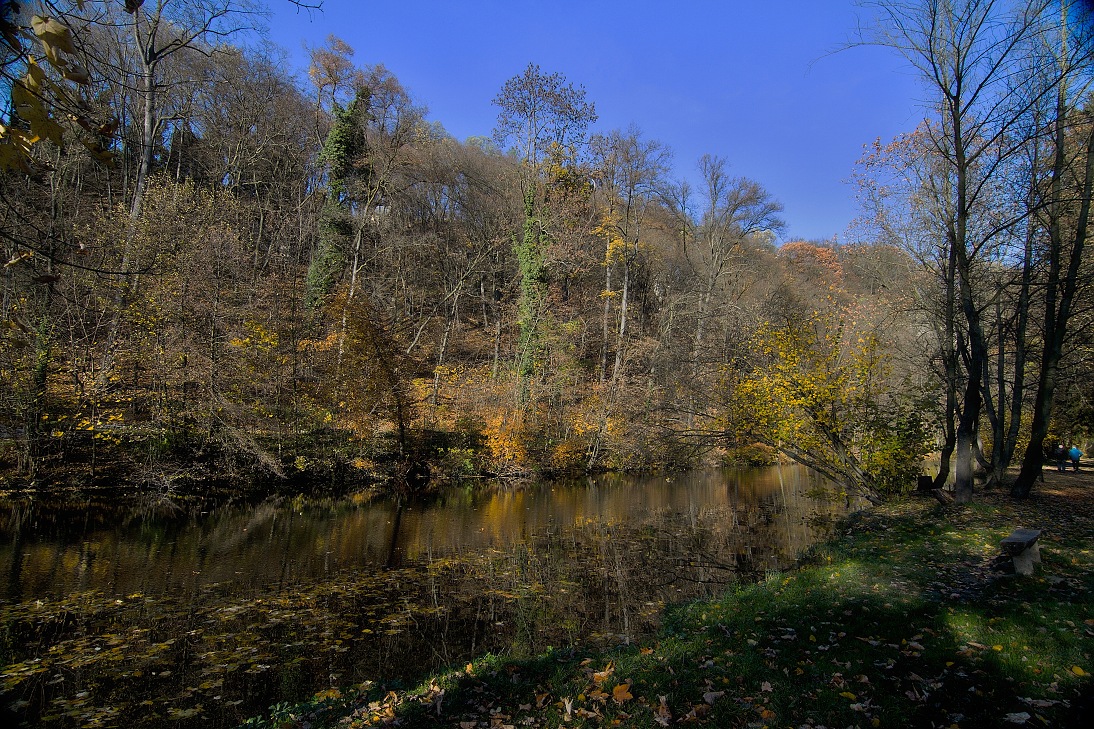 Choceň, Peliny