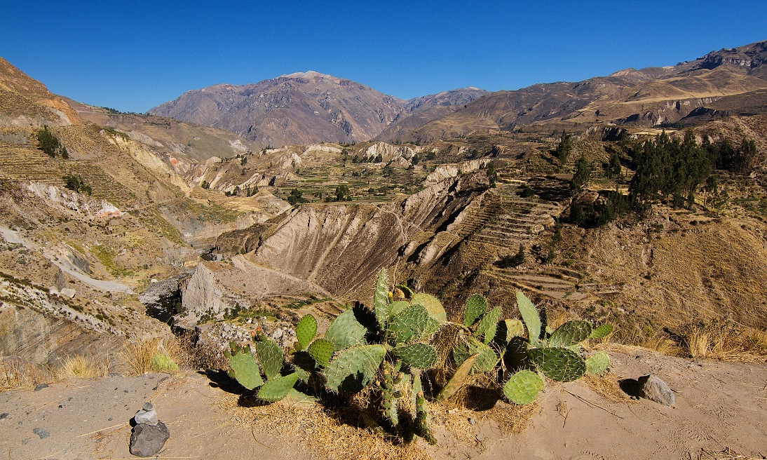 Colca Valley