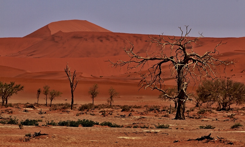 Deadvlei