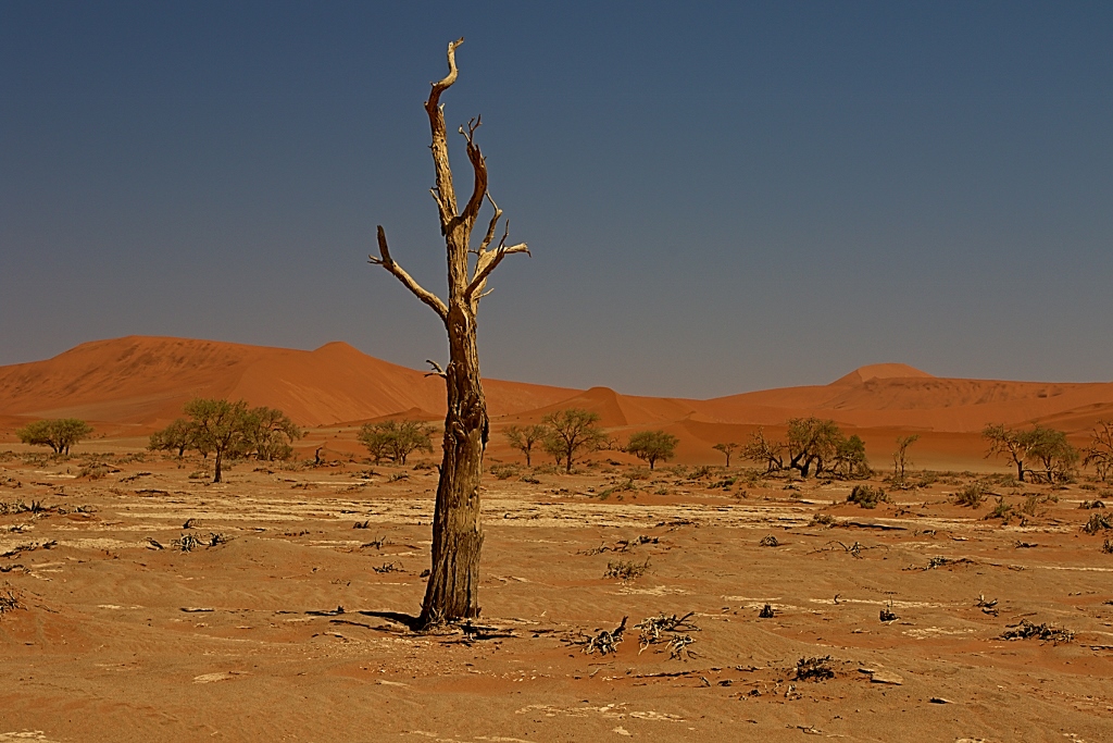 Deadvlei