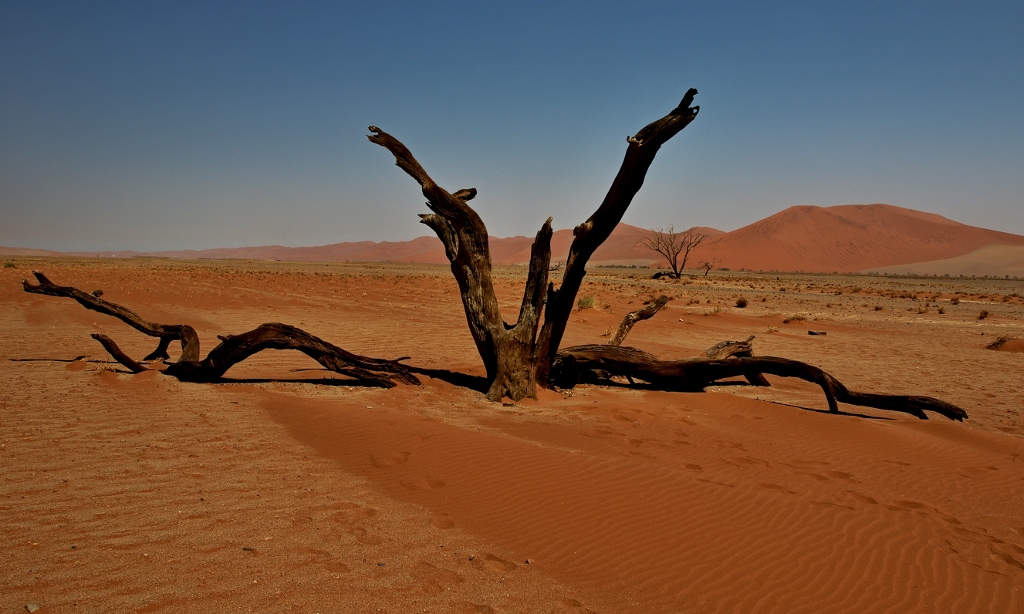 Deadvlei