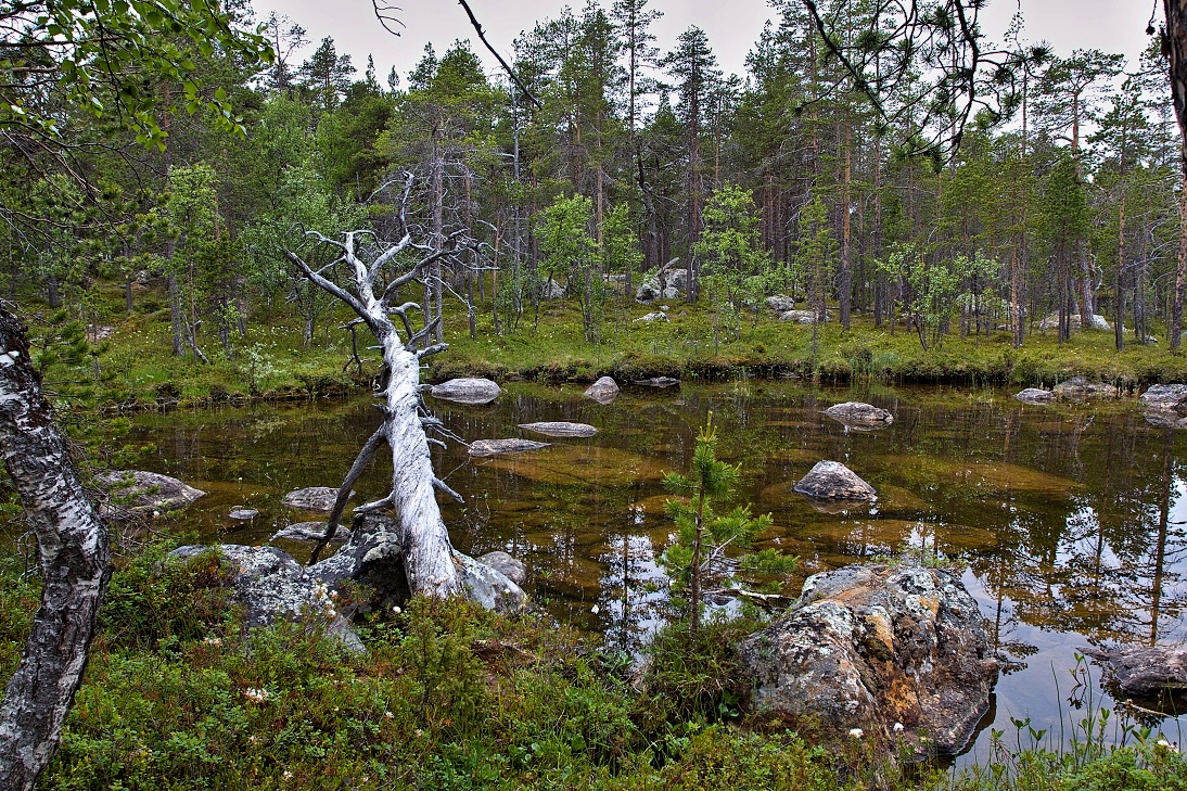 Inari, Laponsko