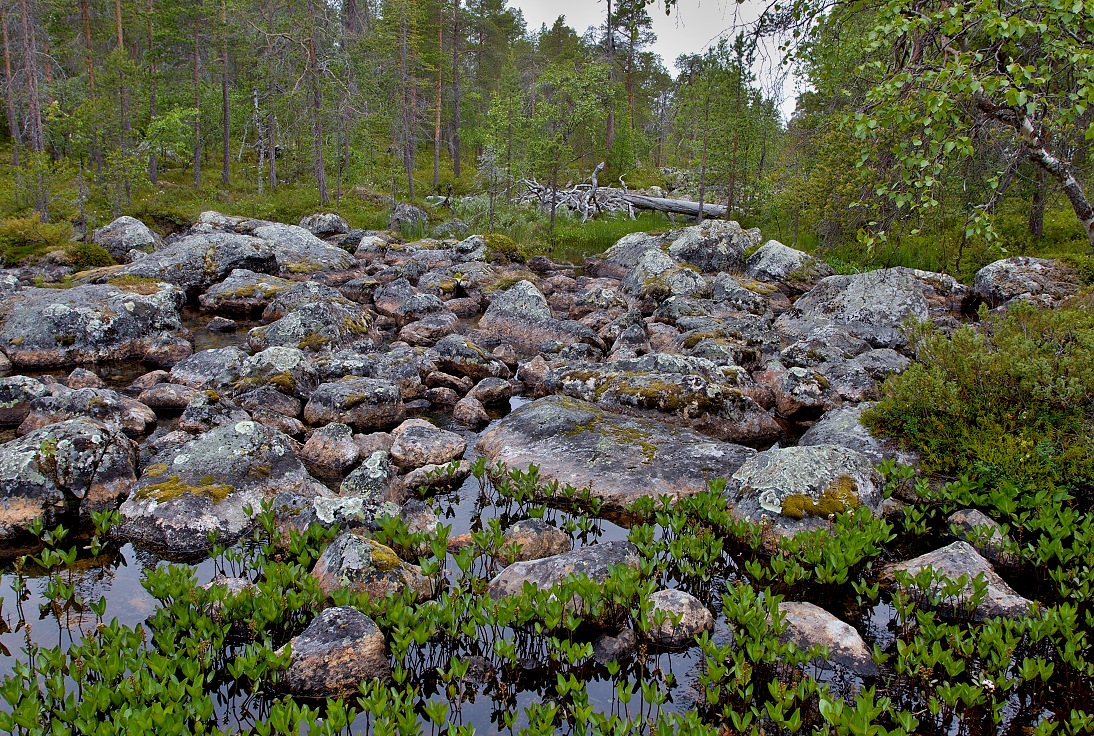 Inari, Laponsko