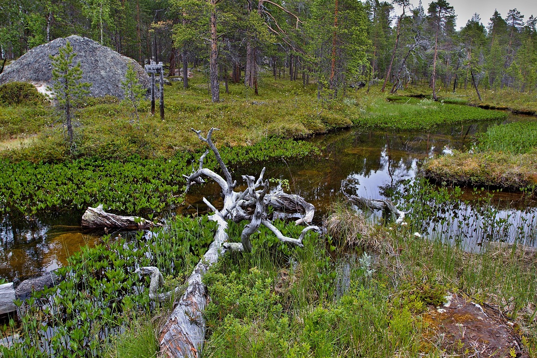 Inari, Laponsko