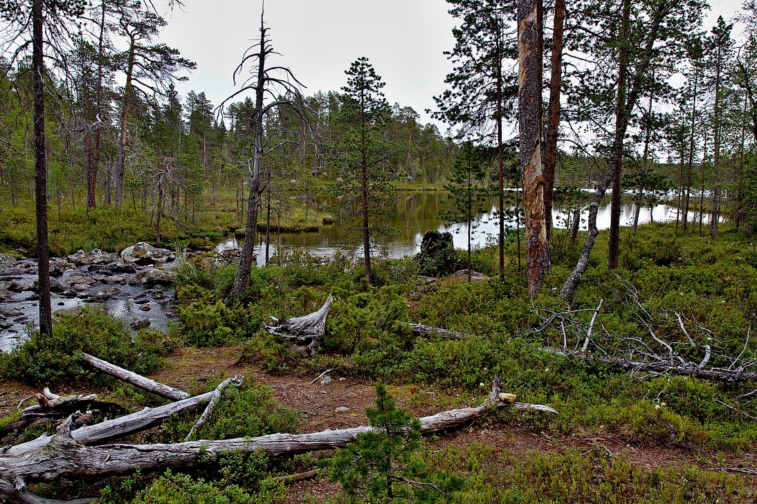 Inari, Laponsko