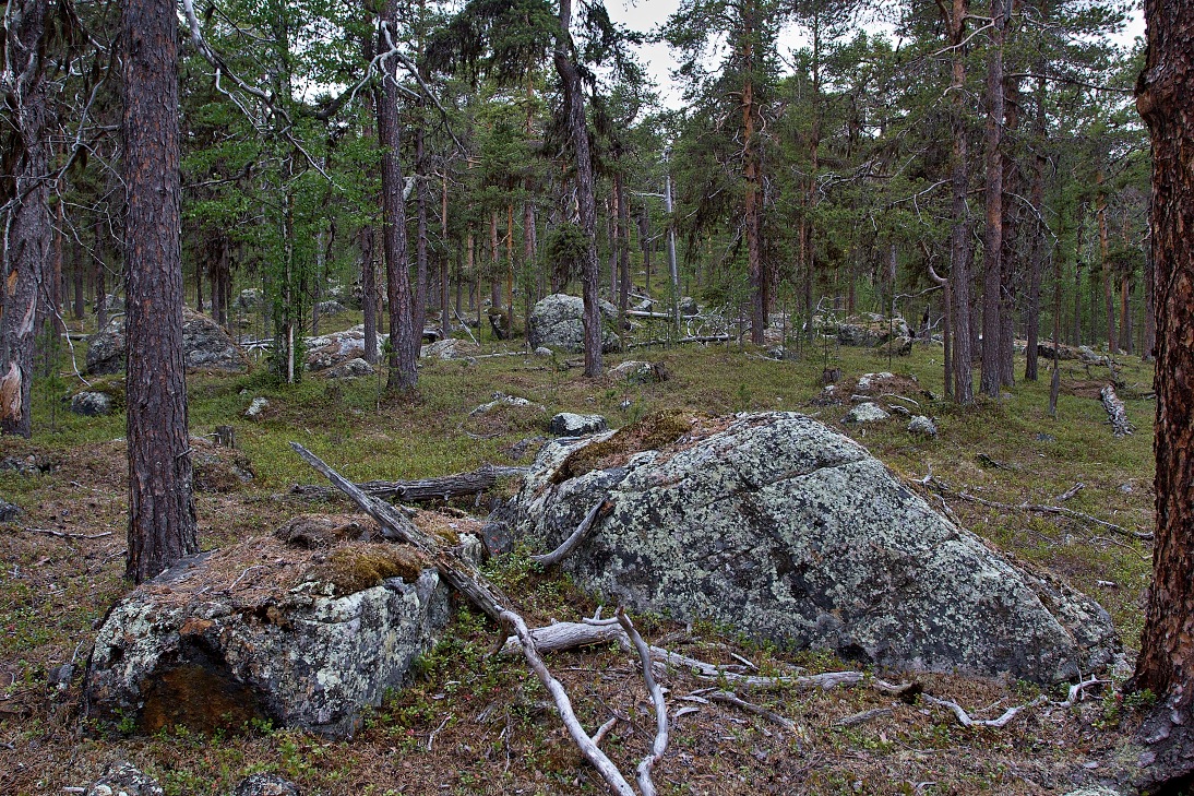 Inari, Laponsko