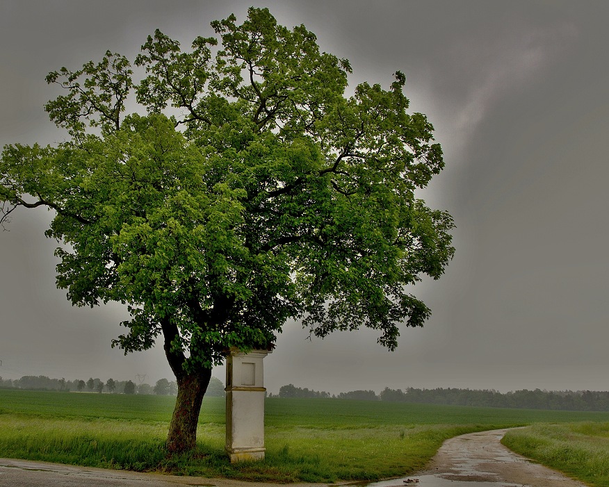 Jižní Čechy, Stráž nad Nežárkou