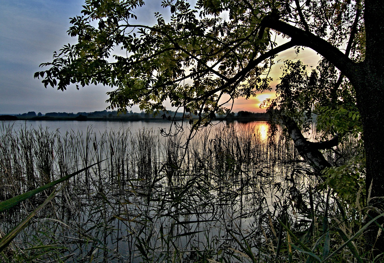 Jižní Čechy, Třeboň,Břilický rybník