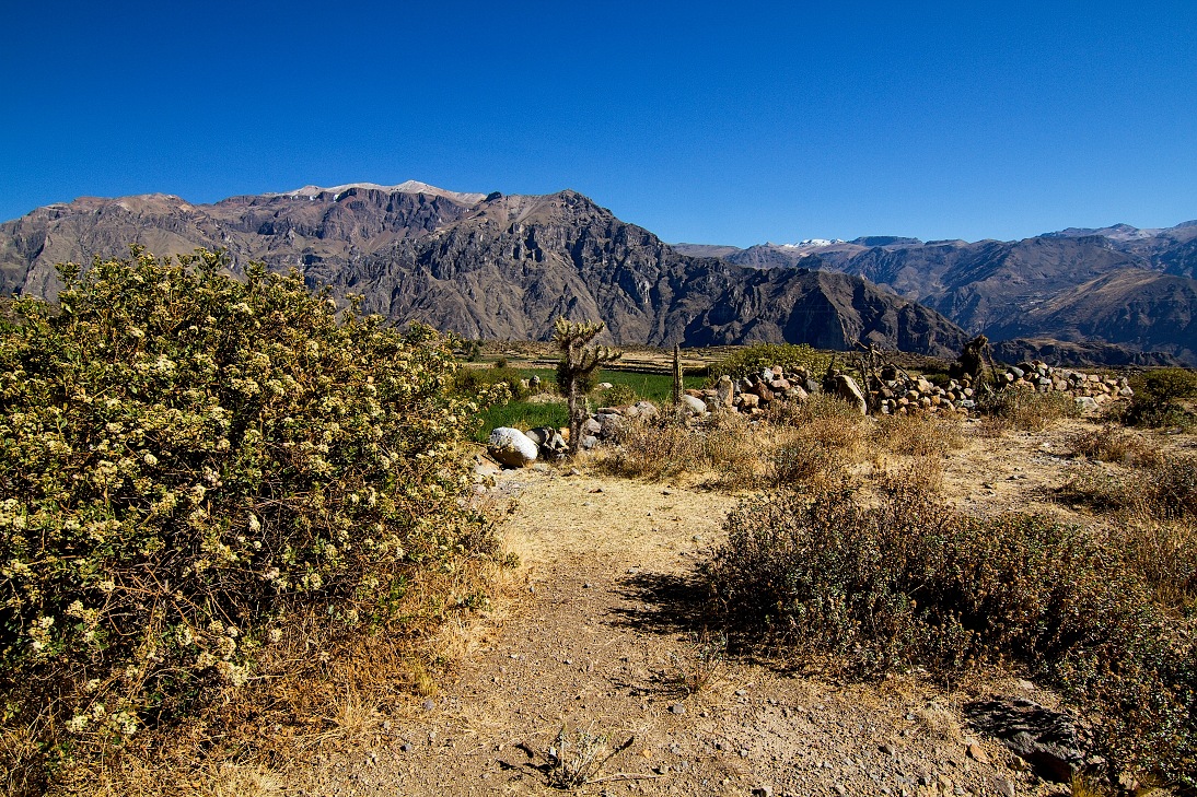 Kańon Colca