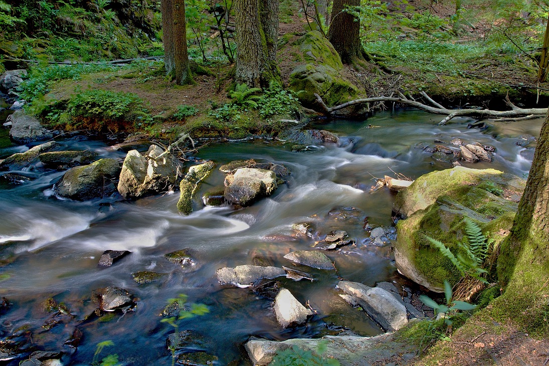 Kraj Vysočina, Bílek - ř. Doubrava