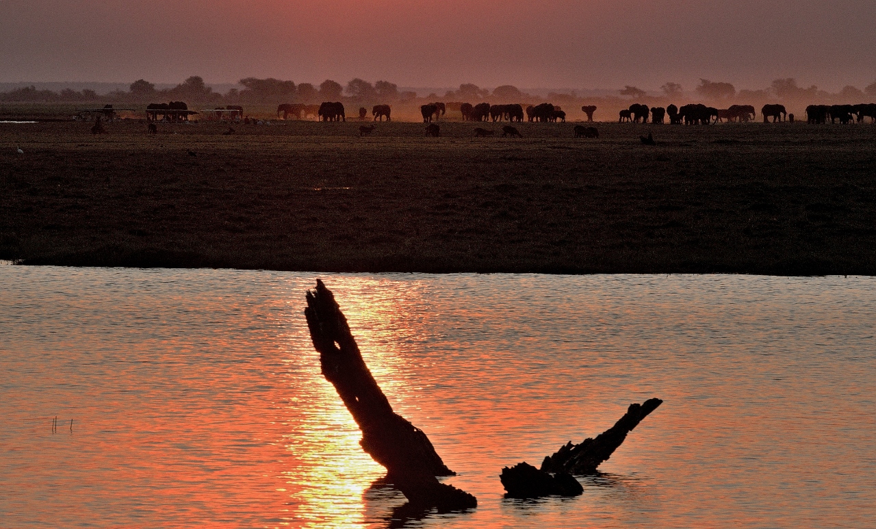 Národní park Chobe