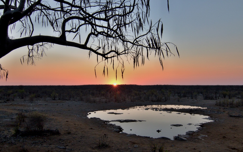 Národní park Etosha