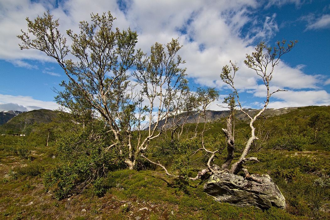 nár.park Jotunheimen