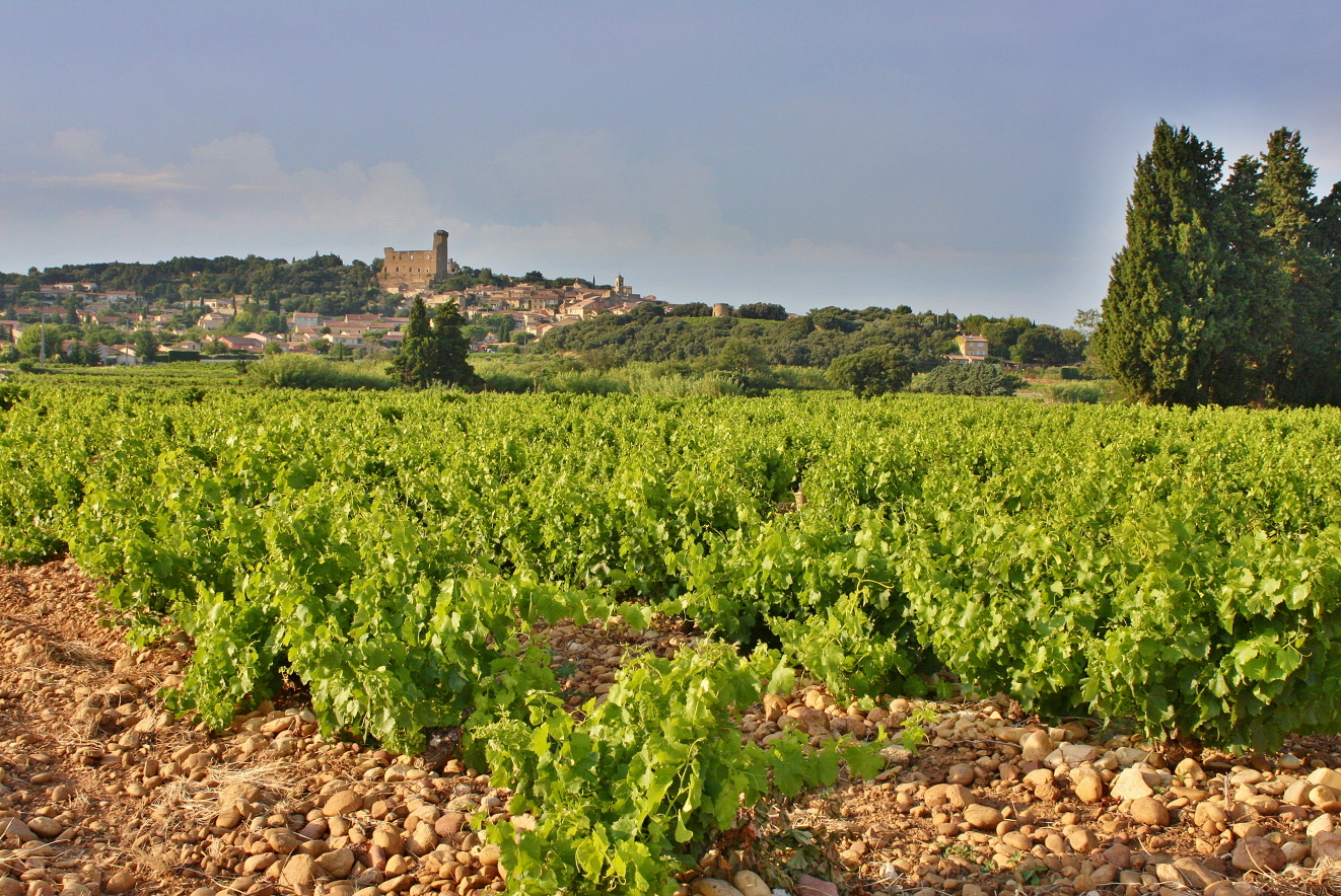 Provence, Chateauneuf-du-Pape