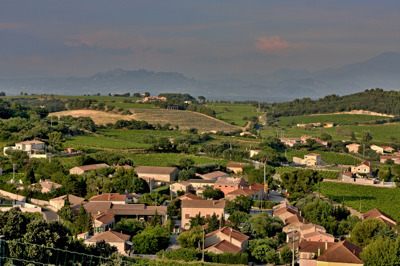 Provence, Chateauneuf-du-Pape