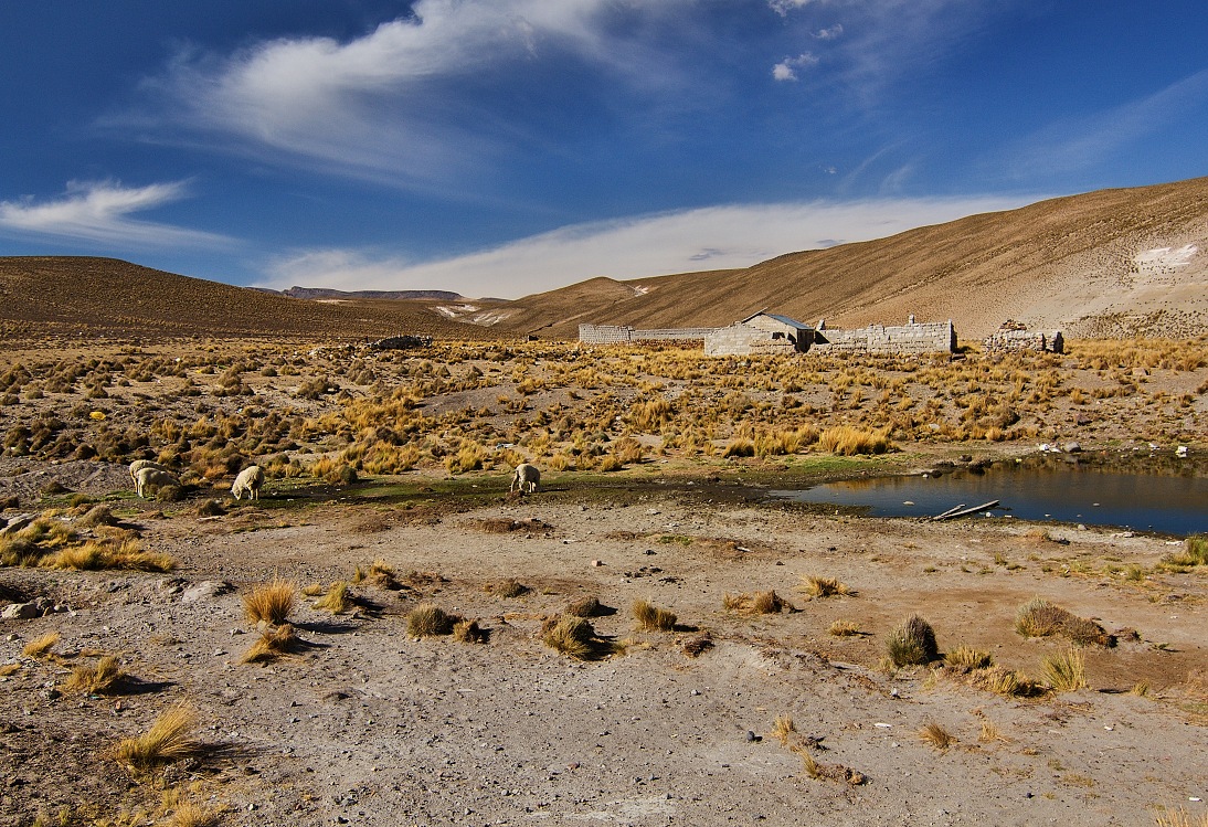 rozcestí Puno-Arequipa-Chivay