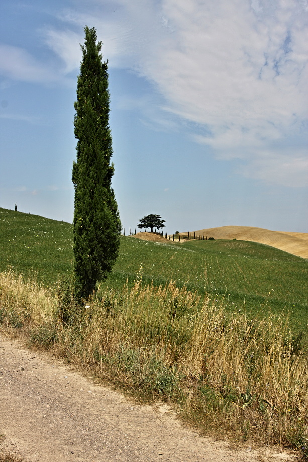 Toskánsko, cesta Siena- Montacino