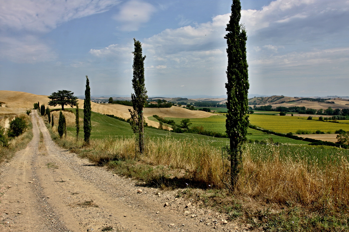 Toskánsko, cesta Siena- Montacino