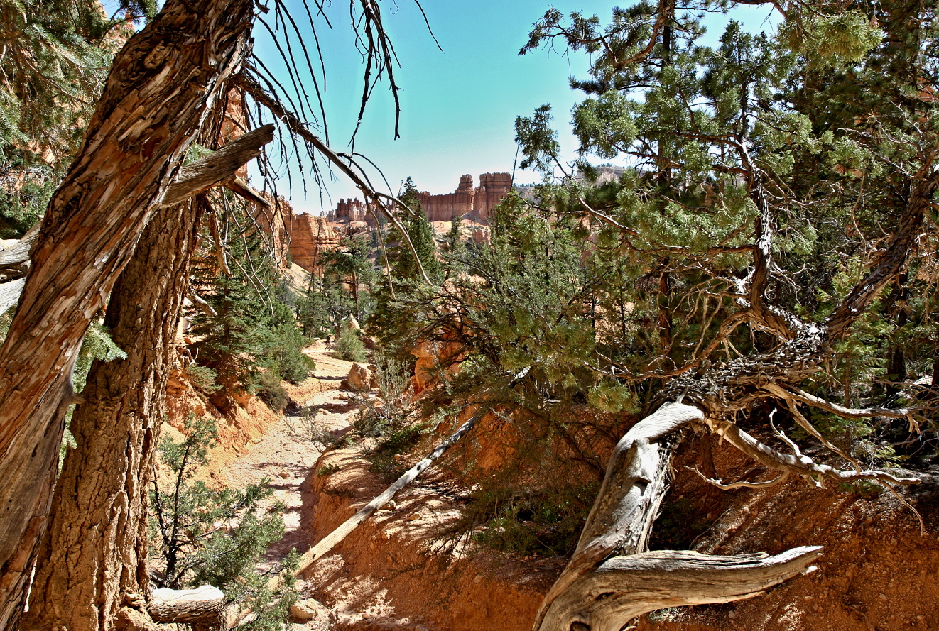 Utah, Bryce  Canyon