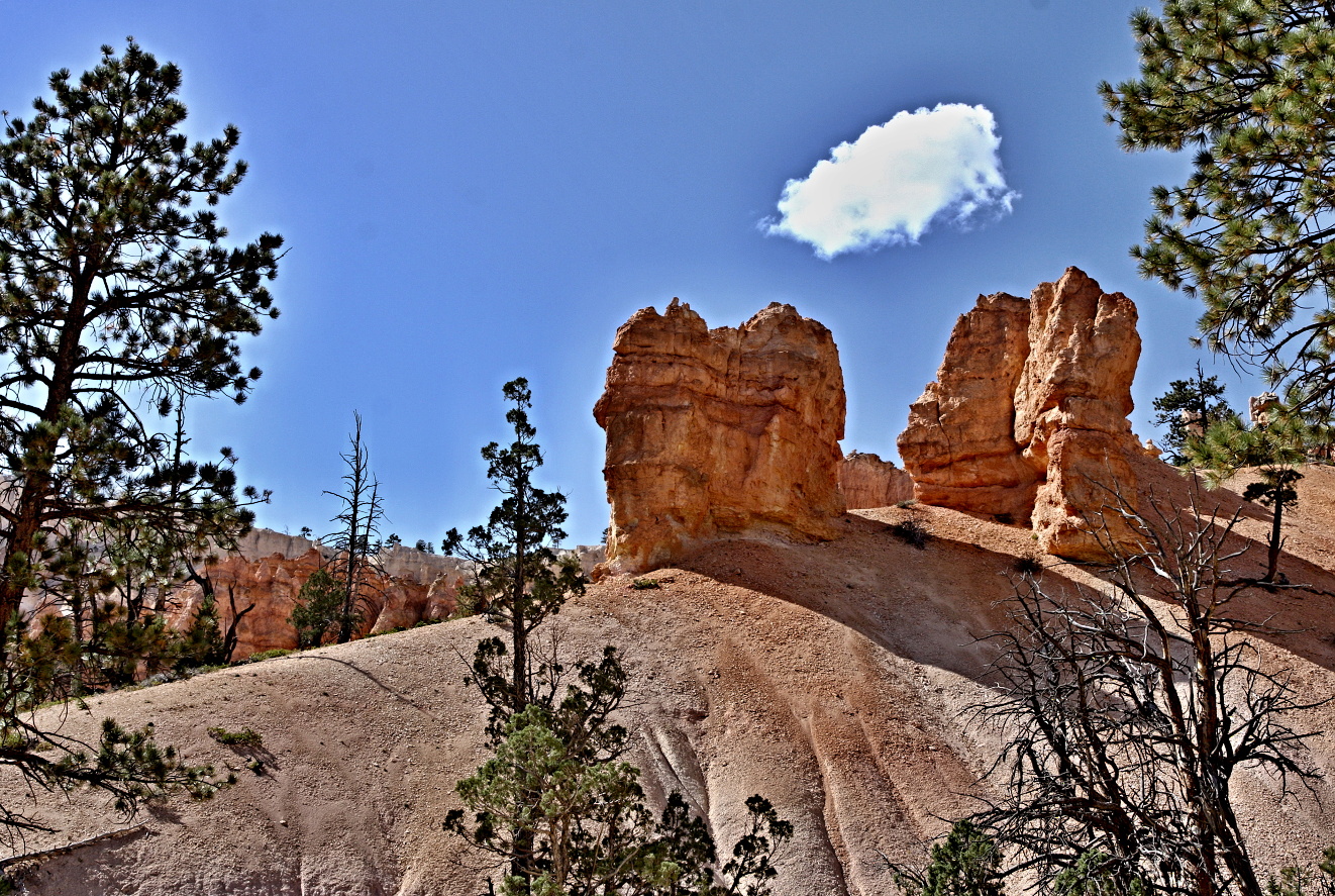 Utah, Bryce  Canyon