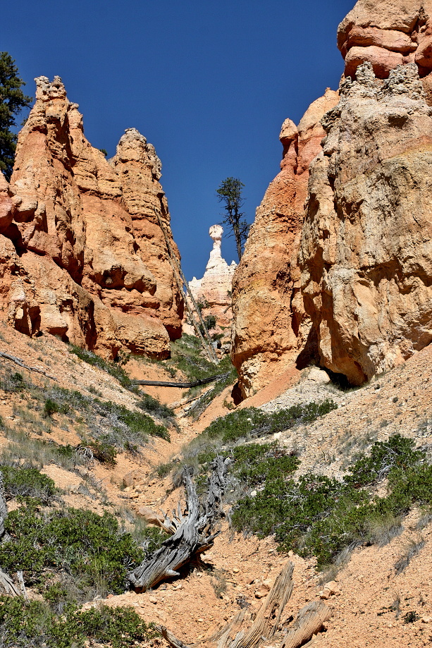 Utah, Bryce  Canyon