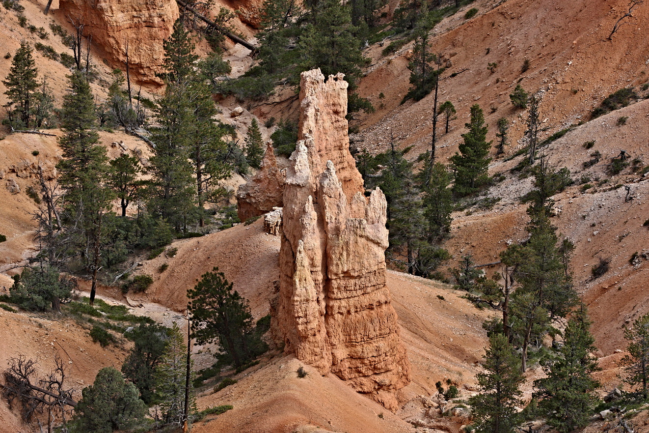 Utah, Bryce  Canyon