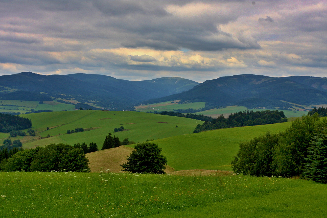 Vých. Ćechy, Králiky