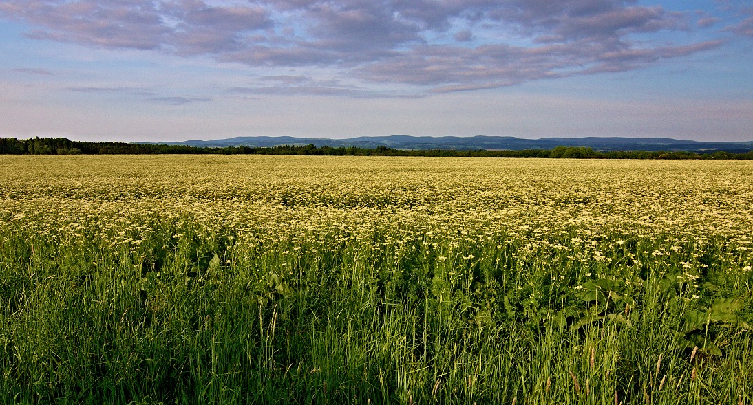 Vých.Čechy,  Černíkovice u Solnice