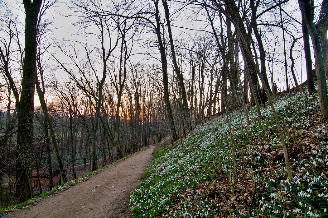 Vých.Čechy, Kostelec n.O.- zámecký park