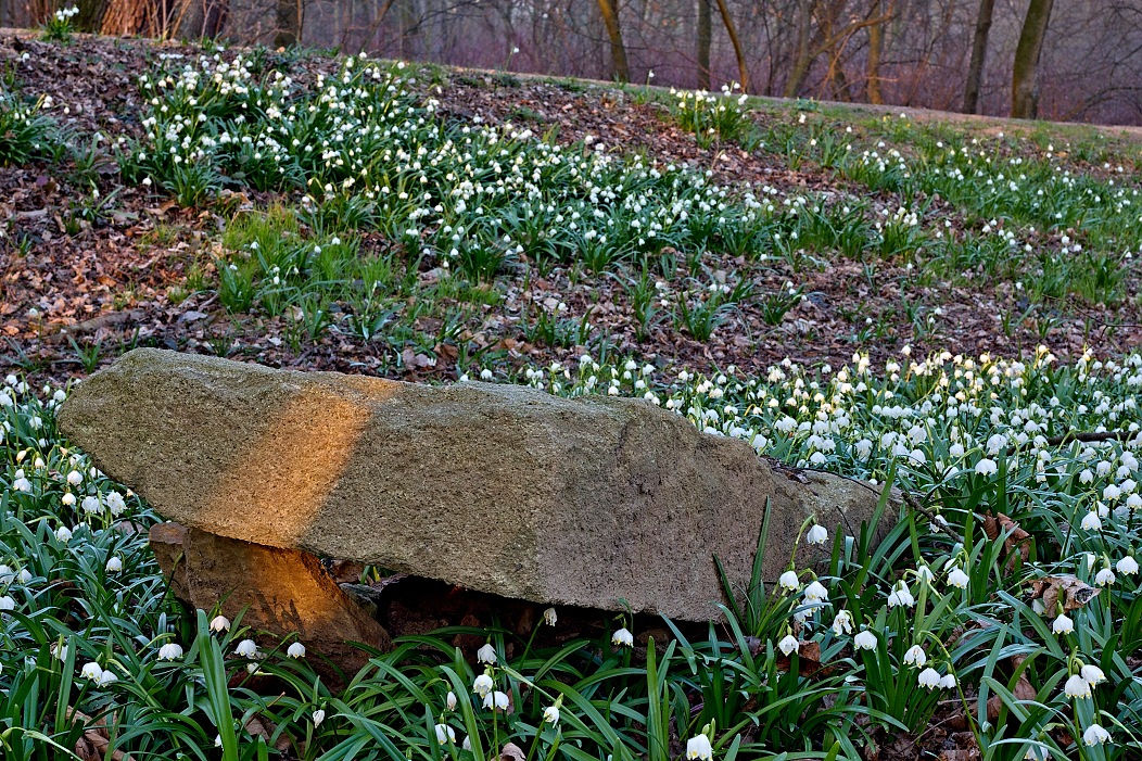 Vých.Čechy, Kostelec n.O.- zámecký park