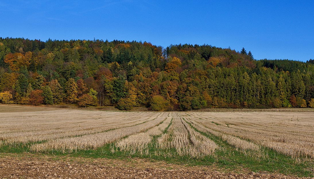 Vých.Čechy, Křivice - Křivina