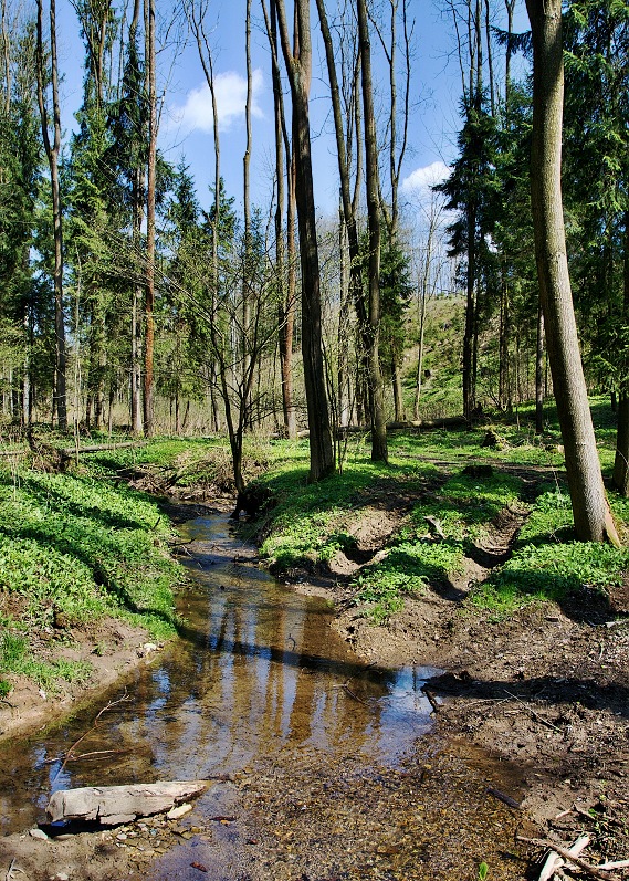 Vých.Čechy, Orlice u Letohradu