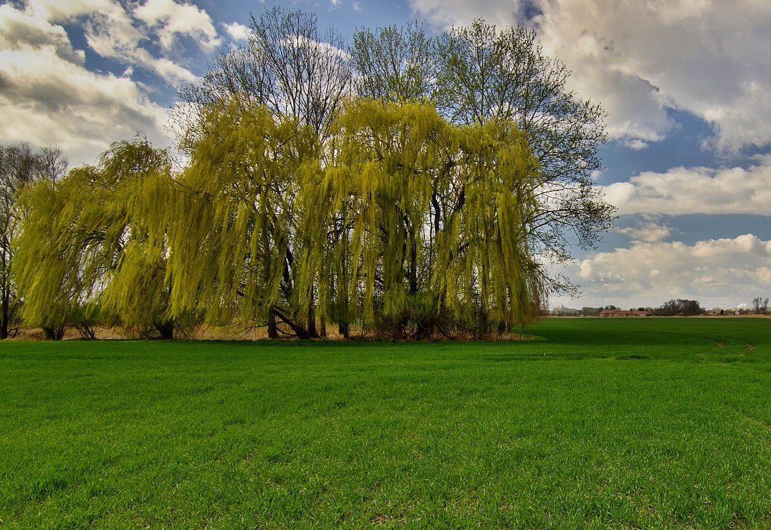 Vých.Čechy, Pardubicko, Lány u Dašic