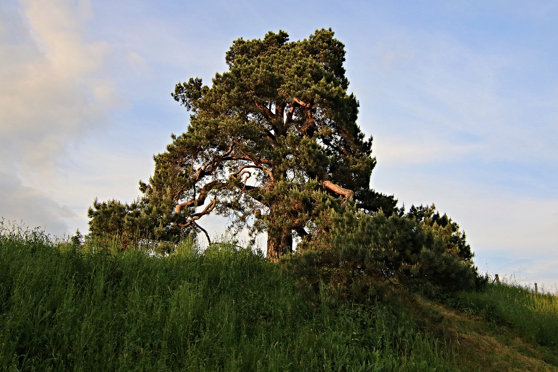 Vých.Čechy,  Svídnice 