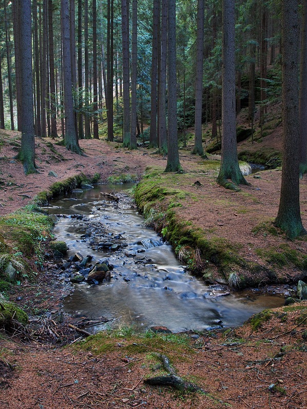 Vých.Čechy, Toulovcovy maštale