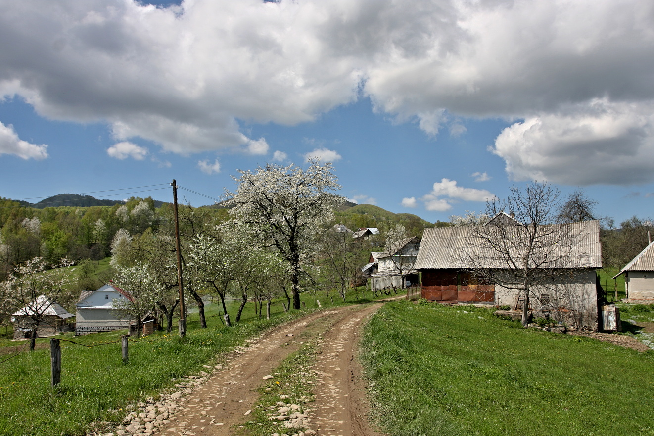 Zakarpatská Ukrajina