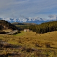 cesta Puquio- Cuzco