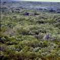 Coba - Yucatan