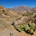 Colca Valley