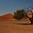 Deadvlei