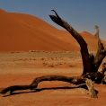 Deadvlei