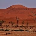 Deadvlei