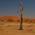 Deadvlei