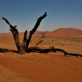 Deadvlei