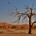 Deadvlei