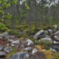 Inari, Laponsko