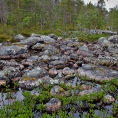 Inari, Laponsko