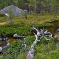 Inari, Laponsko