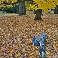 Jižní Čechy, Třeboň,zám. park